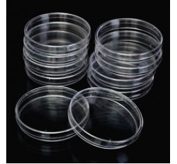 500 x 90mm plastic Petri Dishes sterilized Bulk Deal